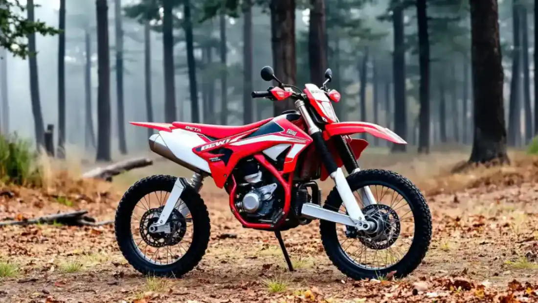 Beta RR 300 2026 אדומה ולבנה ביער בבוקר ערפילי